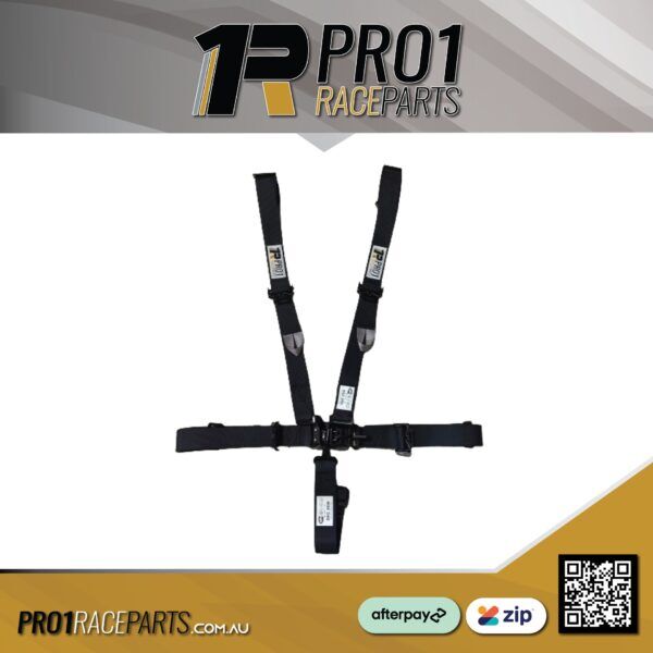 Pro1-Full-2in-Youth-5-Point-Harness.jpg