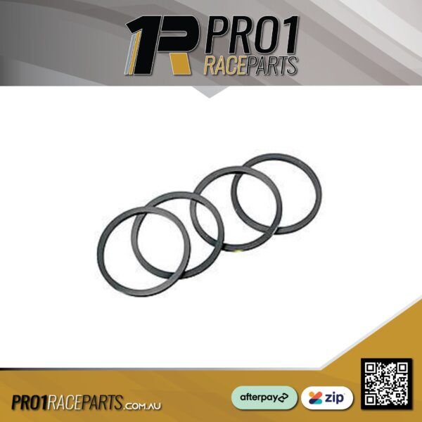 Pro1 Caliper Rebuild Kit